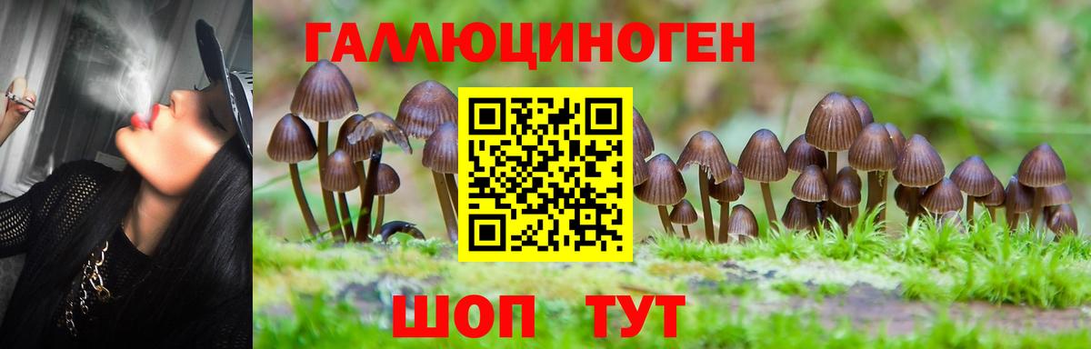 Псилоцибиновые грибы Cubensis  Галлюциногенные грибы Psilocybine cubensis  Вход с VPN  Абакан 