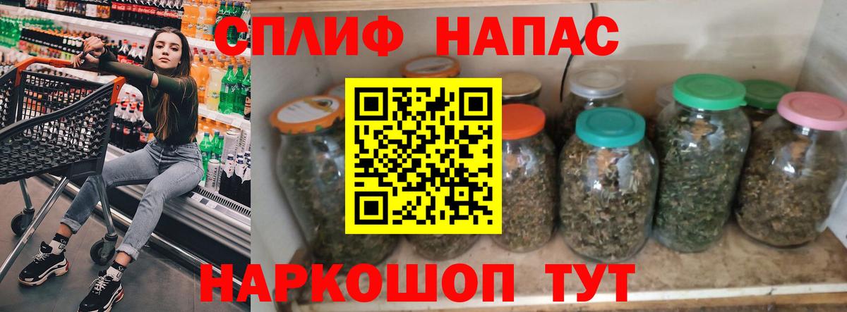 Конопля сатива Абакан